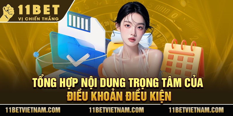 Tổng hợp nội dung trọng tâm của điều khoản điều kiện