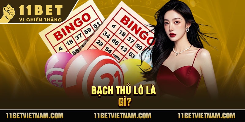 Bạch thủ lô là gì?